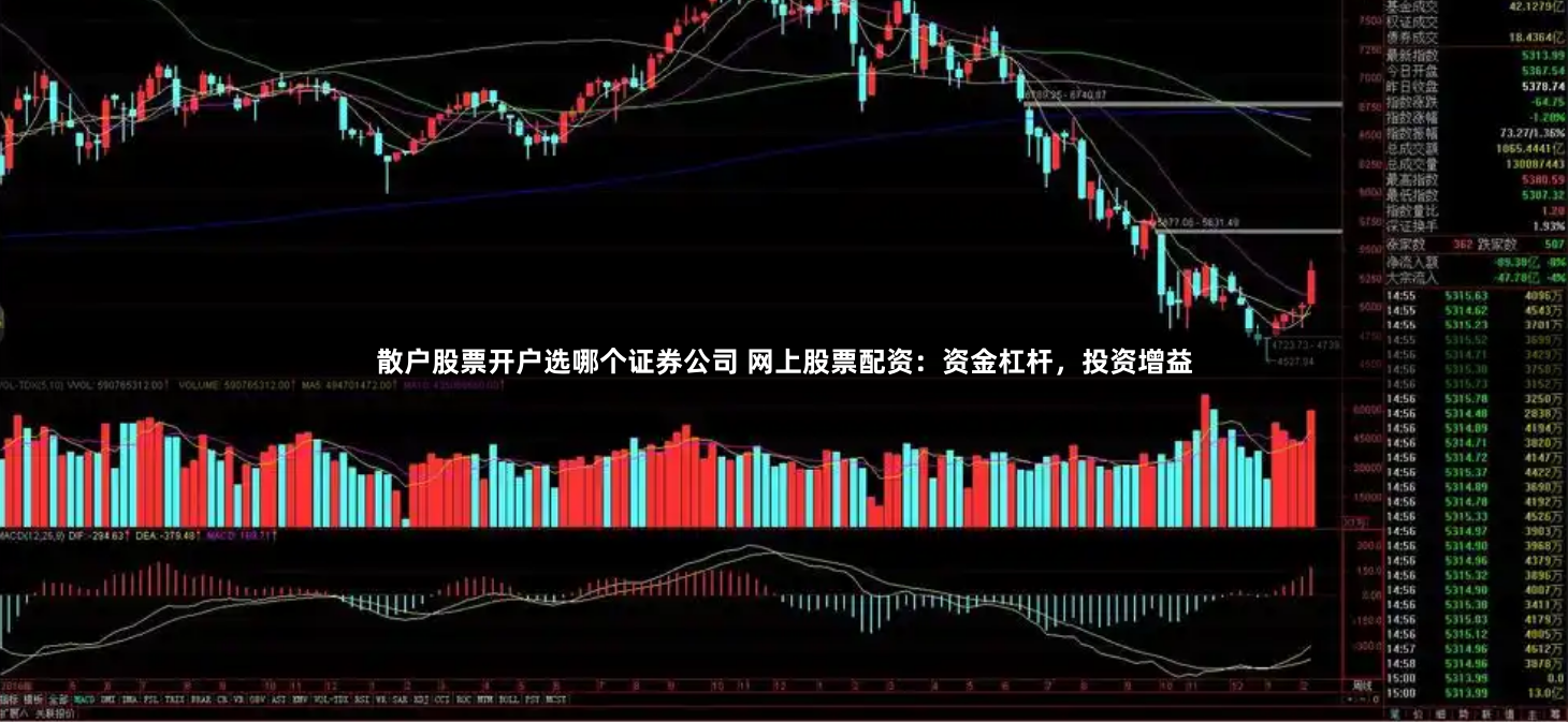散户股票开户选哪个证券公司 网上股票配资：资金杠杆，投资增益